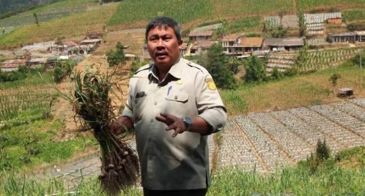 Prihasto Setyanto, Dirjen Hortikultura Kementan, Selasa (27/9).