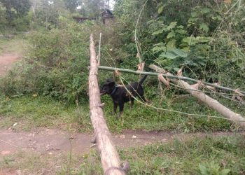 Jalan rumah Hotman Naibaho yang ditutup oleh pihak Pande Hutagaol, Selasa (8/11).