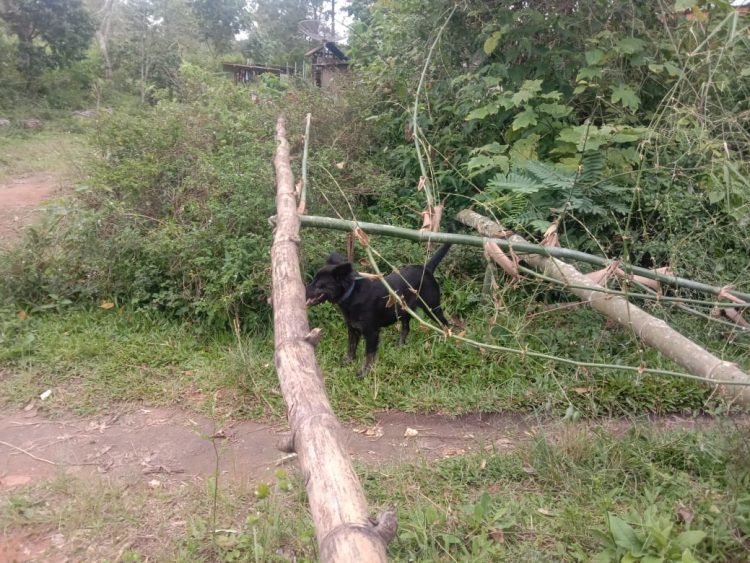 Jalan rumah Hotman Naibaho yang ditutup oleh pihak Pande Hutagaol, Selasa (8/11).