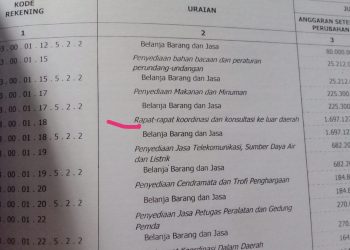 Salah satu anggaran pantastis Pemkab Taput pada post Penyediaan anggaran jasa tamu yang sangat pantastis, Rabu (16/11).