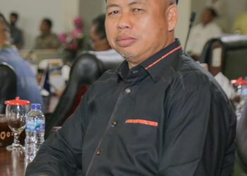 Anggota DPRD Provinsi Kepri, Hanafi Ekra saat wawabcara reporter Indigonews, Sabtu (3/12).