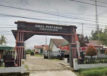 Dinas Pertanian Dairi keluarkan himbauan terkair virus ASF ternak babi, Rabu (7/12).