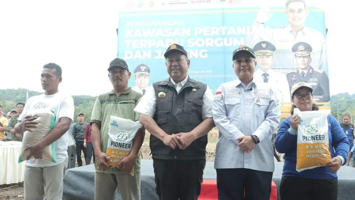 Wakil Menteri Pertanian (Wamentan), Harvick Hasnul Qolbi bersama Bupati Dairi Dr. Eddy Keleng Ate Berutu saat tanam sorgum, Jumat (9/12).