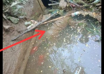 Lokasi penemuan mayat bayi usia 3 tahun, Senin (19/12).