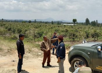 Dirjen Gakkum KLH wilayah Sumut - Aceh saat survei lapangan di Desa Pohan Tonga, Kecamatan Siborongborong, Kabupaten Tapanuli Utara, Senin (10/4).
