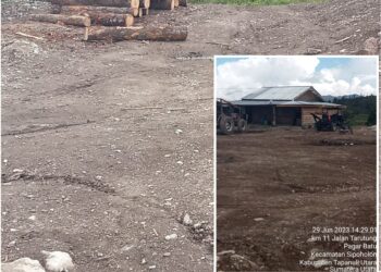 Kondisi Dolok Imun yang masih ditebang habis sesuai pengakuan warga sekitar dilakukan MS, Kamis (29/6).