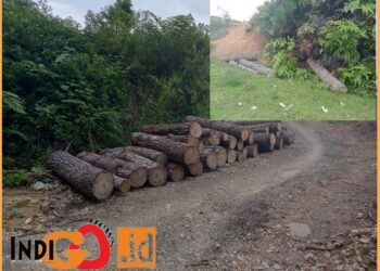 Tumpukan kayu yang sudah terpotong yang sempat diambil pengusaha DH, namun ditolak oleh Kepala Desa, Senin (24/7).