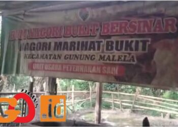 BumNag "Bukit Bersinar" Nagori Marihat Bukit yang disinyalir tidak melaksanakan kegiatan penyertaan modal dari DD TA 2021,  Senin (10/7).