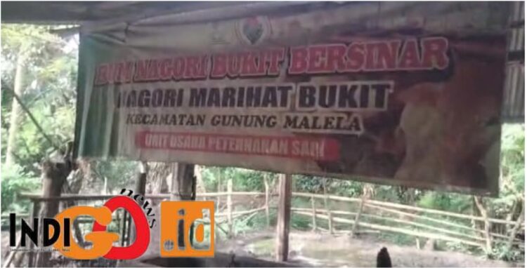 BumNag "Bukit Bersinar" Nagori Marihat Bukit yang disinyalir tidak melaksanakan kegiatan penyertaan modal dari DD TA 2021,  Senin (10/7).