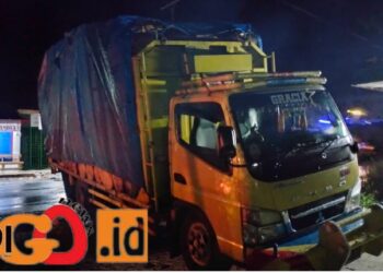 Truk bermuatan pinus yang diamankan Polhut Provinsi Sumut diduga milik MS, Jumat malam (14/7).