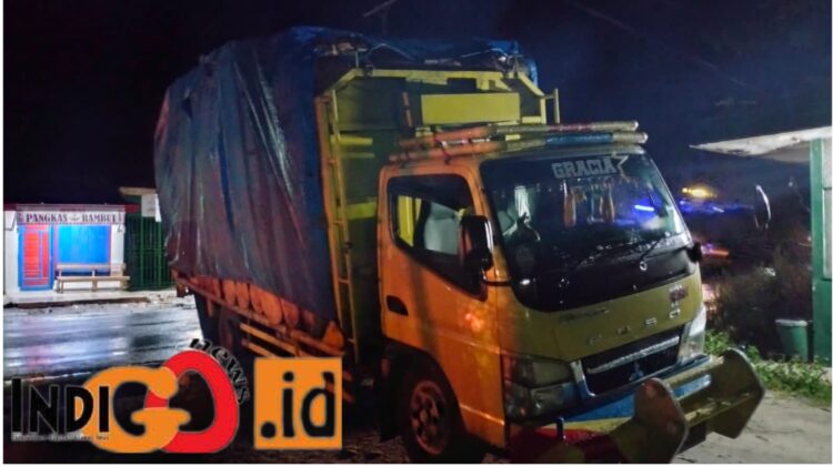 Truk bermuatan pinus yang diamankan Polhut Provinsi Sumut diduga milik MS, Jumat malam (14/7).