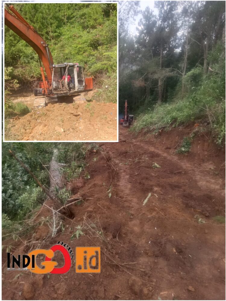 Aktifitas alat berat dilahan yang dikuasai pengusaha shawmel berinisial DH, Kamis (20/7).