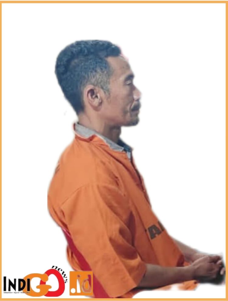 Terangka, ML saat di BAP di Polres Taput, Kamis (17/8).