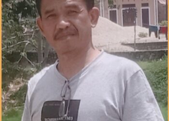 Ir. I. Djonggi Napitupulu, Direktur Eksekutif  IP2 Baja Nusantara, Minggu (17/8).