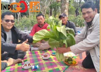 Wakil Bupati Tapsel, Rasyid Assaf Dongoran M.Si saat kunjungi petani, Rabu (13/9).