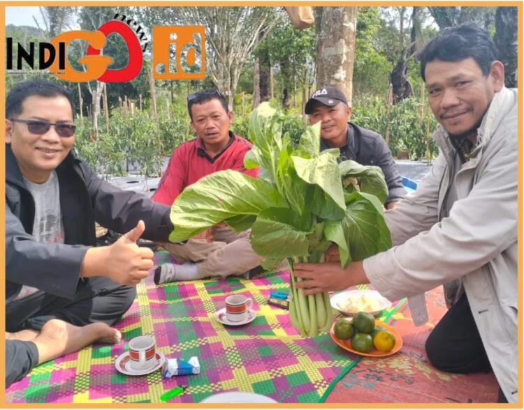 Wakil Bupati Tapsel, Rasyid Assaf Dongoran M.Si saat kunjungi petani, Rabu (13/9).