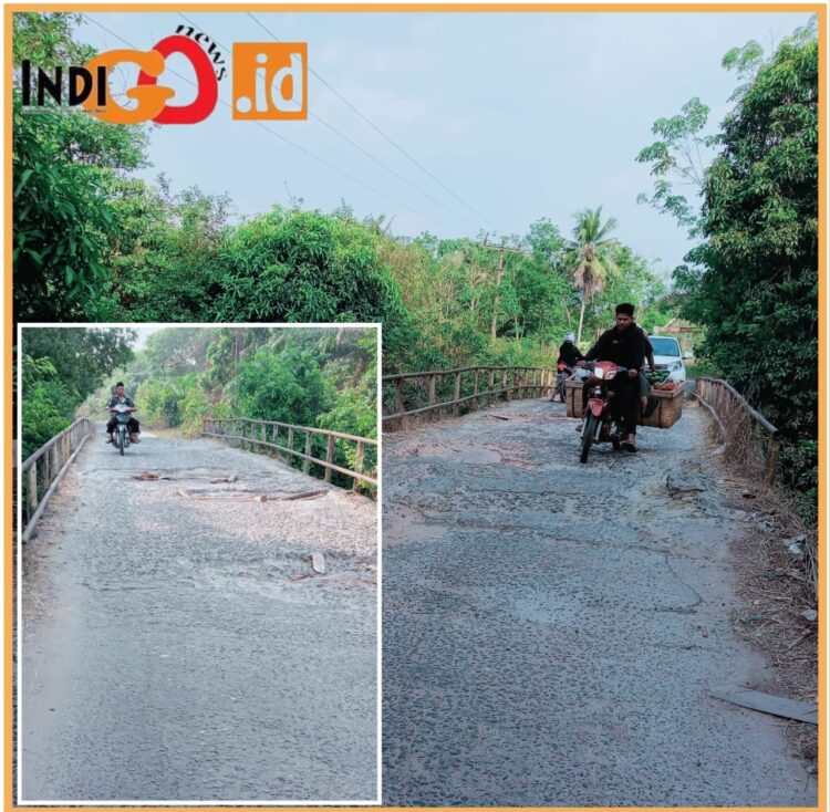 Kondisi jembatan penghungung 2 Desa di OKU Timur yang memprihatinkan, Minggu (24/9).