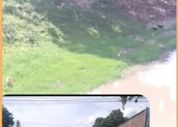 Banguna yang berada dilahan sempadan sungai Balige, Senin (25/9).