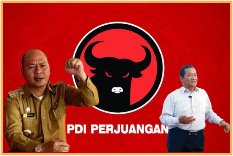 Elektabilitas Nikson Nababan lebih pupoler bagi warga Sumut dari pada Rapidin Simbolon, Minggu (1/10).