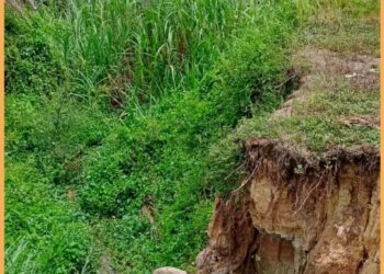 Tanggul jebol sepanjang 30 Meter dan kondisi persawahan yang kering, Senin (16/10).