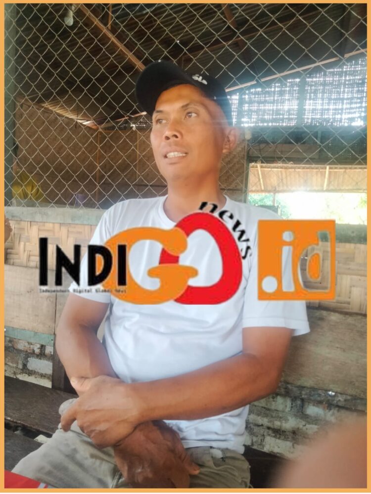 Pangulu yang baru Nagori Sahkuda Bayu, Warsito saat diwawancarai reporter Indigonews, Rabu (1/11).