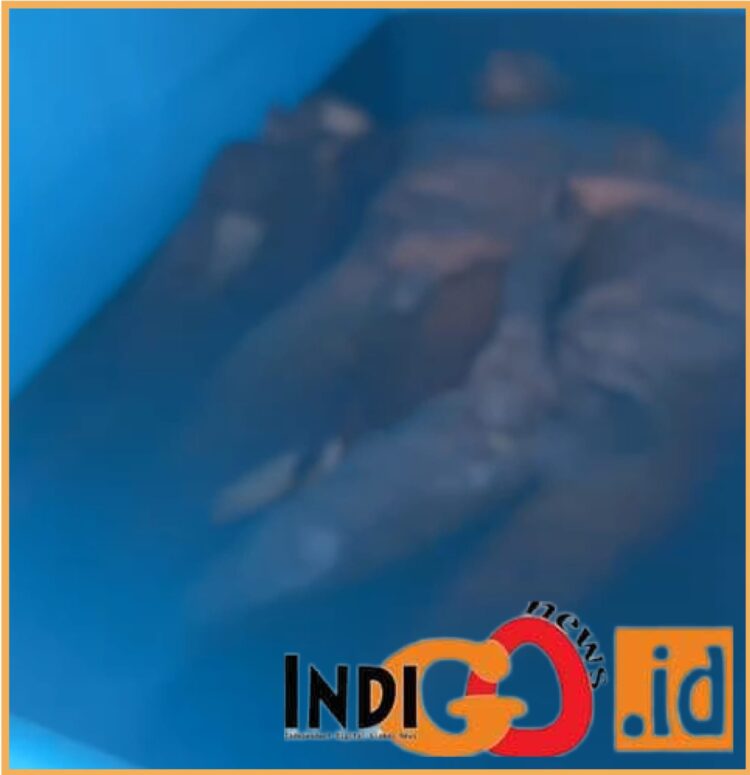 Mayat yang ditemukan di lantai 9 UNPRI Medan, Selasa (12/12).