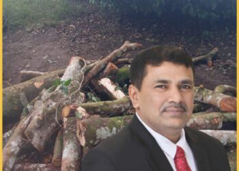 FAUZI OMAR, SEVP Operation I PTPN IV Medan dan barang bukti potongan kayu dari pohon yang dicuri, Minggu (28/1).