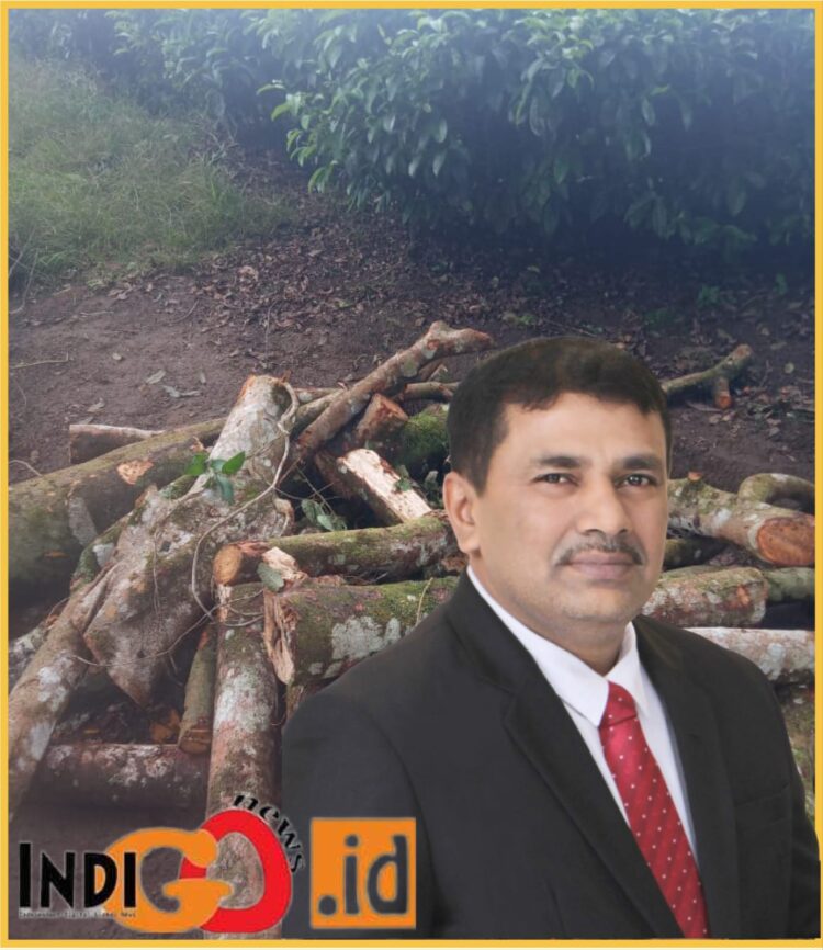 FAUZI OMAR, SEVP Operation I PTPN IV Medan dan barang bukti potongan kayu dari pohon yang dicuri, Minggu (28/1).