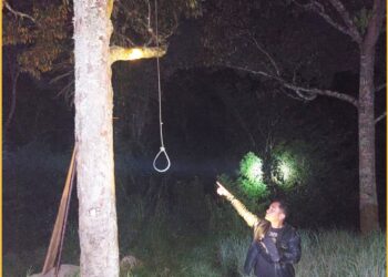 Pohon durian tempat Poltak gantung diri, Selasa (27/2).