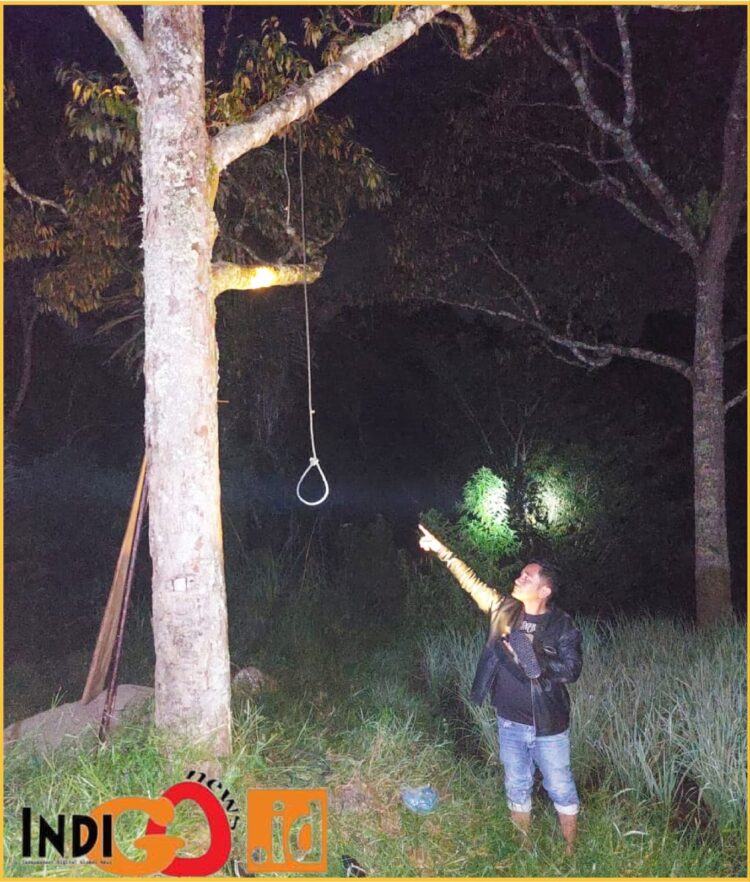 Pohon durian tempat Poltak gantung diri, Selasa (27/2).