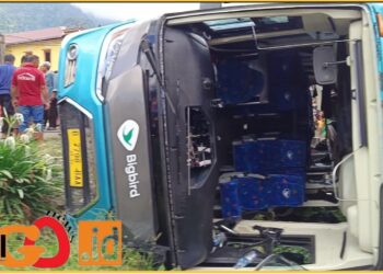 Kondisi bus pariwisata Bigbird Nopol B 7798 BAA saat terbalik, Jumat (17/5).