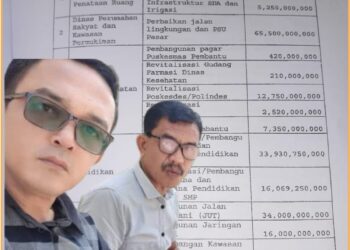 Daftar proyek PEN dan Direktur Eksekutif IP2 Baja Nusantara, Djonggi Napitupulu bersama reporter Indigonews, Selasa (11/6).