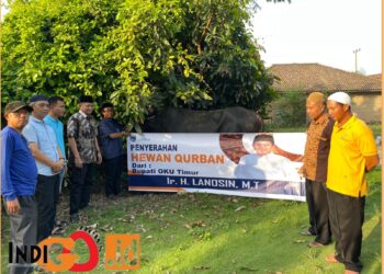 Pemkab OKU Timur saat penyerahan hewan kurban, Minggu (16/6).