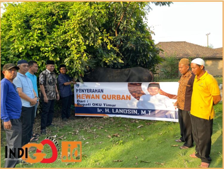 Pemkab OKU Timur saat penyerahan hewan kurban, Minggu (16/6).