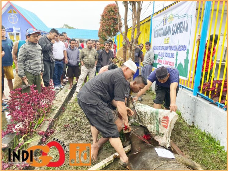 Jajaran Rutan Kelas IIB Sidikalang saat melaksanakan pemotongan hewan Qurban, Senin (17/6).