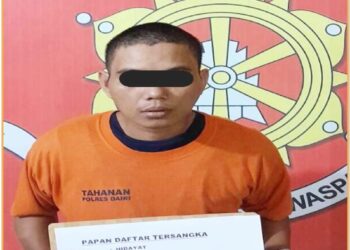 Tersanhka H warga Pematangsiantar saat diamankan di Mapolres Dairi, Rabu (19/6).