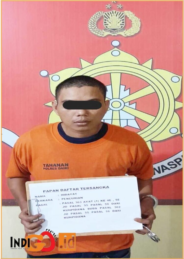 Tersanhka H warga Pematangsiantar saat diamankan di Mapolres Dairi, Rabu (19/6).