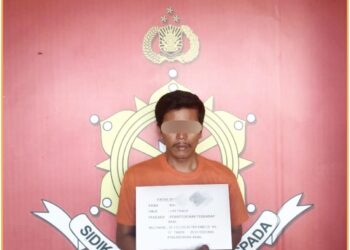 HS, pelaku persetubuhan saat diamankan di Mapolres Dairi, Kamis (20/6).