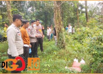 Jenazah korban saat diamankan si perkebunan sawit, Kamis (20/6).
