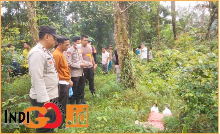 Jenazah korban saat diamankan si perkebunan sawit, Kamis (20/6).