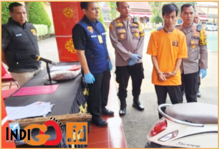 Muhamad Yasir alias Putra pelaku pembunuhan siswi SMK saat diamankan di Mapolres OKU Timur, Kamis (20/6).