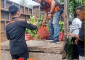 SAPMA PP Simalungun saat membagikan bibit di Nagori Karang Sari, Jumat (21/6).