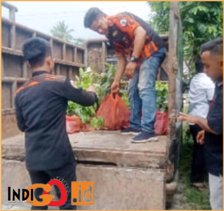 SAPMA PP Simalungun saat membagikan bibit di Nagori Karang Sari, Jumat (21/6).