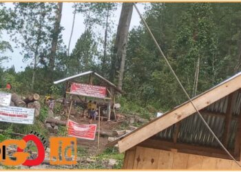 Lahan milik Anthon Sihombing yang sudah SHM tetapi diserobot kelompok keluarga Op. Banggar, Jumat (28/6).