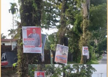 Poster Balon Walikota yang merusak pohon disepanjang jalan Rangkutta Sembiring, Selasa (2/7).