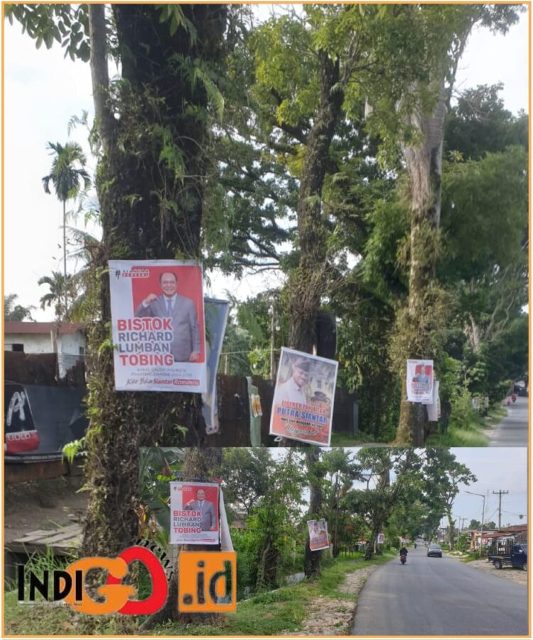 Poster Balon Walikota yang merusak pohon disepanjang jalan Rangkutta Sembiring, Selasa (2/7).