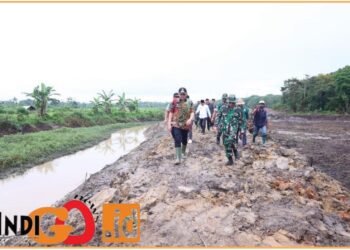 Bupati OKU Timur, enos  saat tinjau oplah, Jumat (5/7).