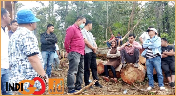 Lahan Anthon Sihombing yang diserobot dan dikuasi orang lain, Jumat (12/7).