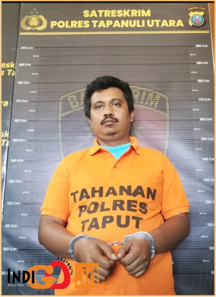 Charsi Toni Sihombing alias Kamman alias Tony saat diamankan di Mapolres Taput, Kamis (18/7).