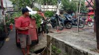 IMG-20241223-WA0146